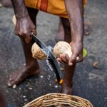 best manual coconut scraper for Indian kitchen