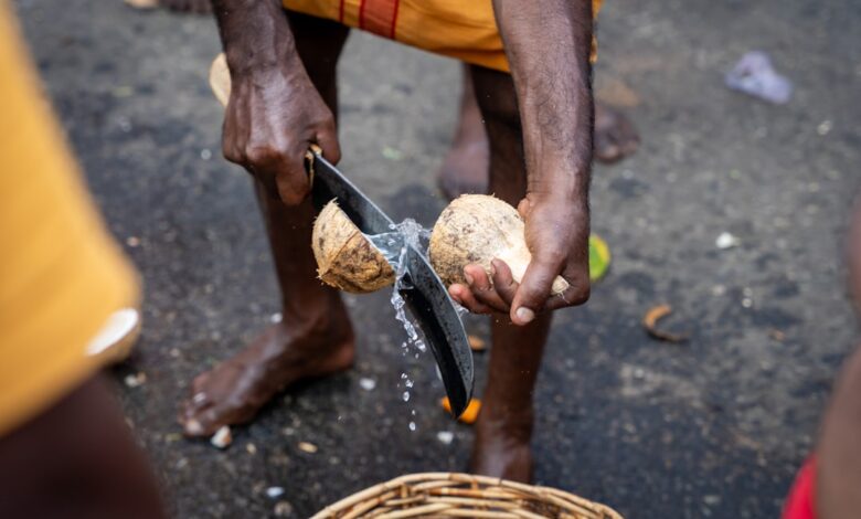 best manual coconut scraper for Indian kitchen